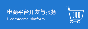 电商平台开发与服务
