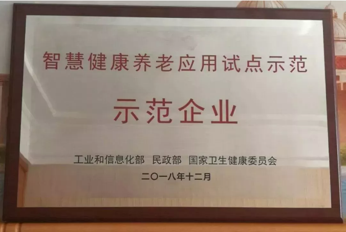 ”九游会股份“作为国家第二批智慧健康试点示范企业在人民大会堂接受授牌！